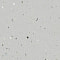 Линолеум Forbo Surestep Star 176772 Cement - 2.0
